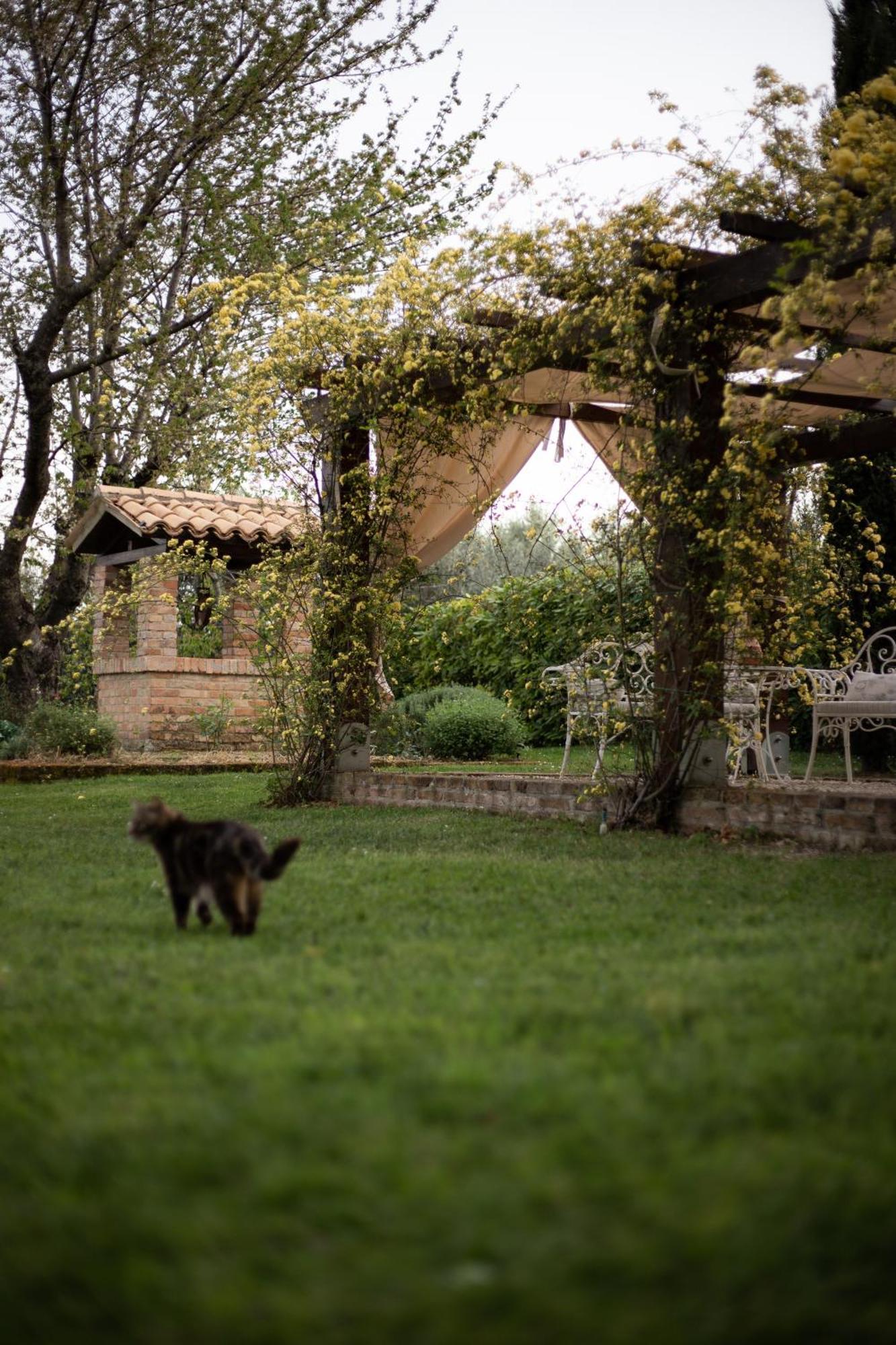 Ca' Le Cerque, Villa Surrounded By The Marche Nature Фосомброне Екстериор снимка