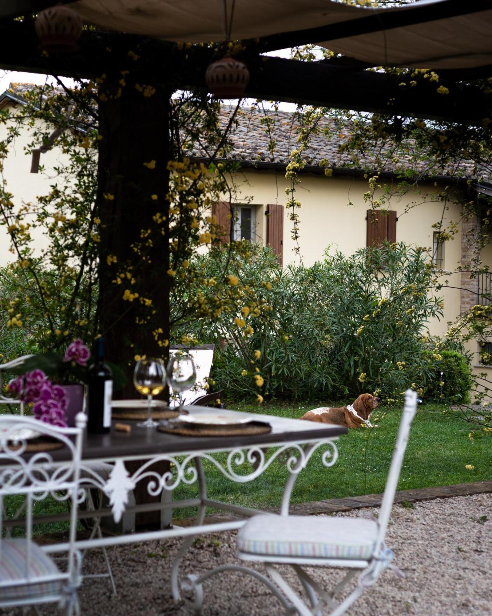 Ca' Le Cerque, Villa Surrounded By The Marche Nature Фосомброне Екстериор снимка
